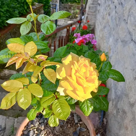 アパート Casa Di Penna