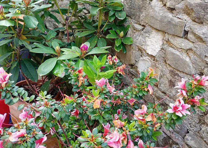 Apartman Casa Di Penna Barberino di Mugello