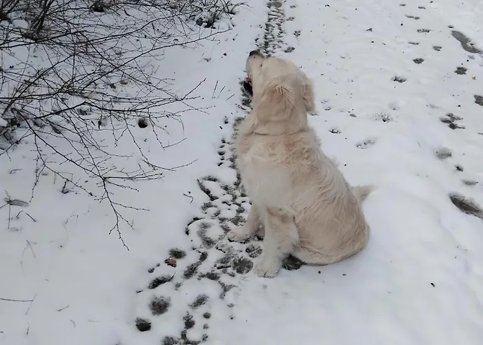 Casa Di Penna * Barberino di Mugello